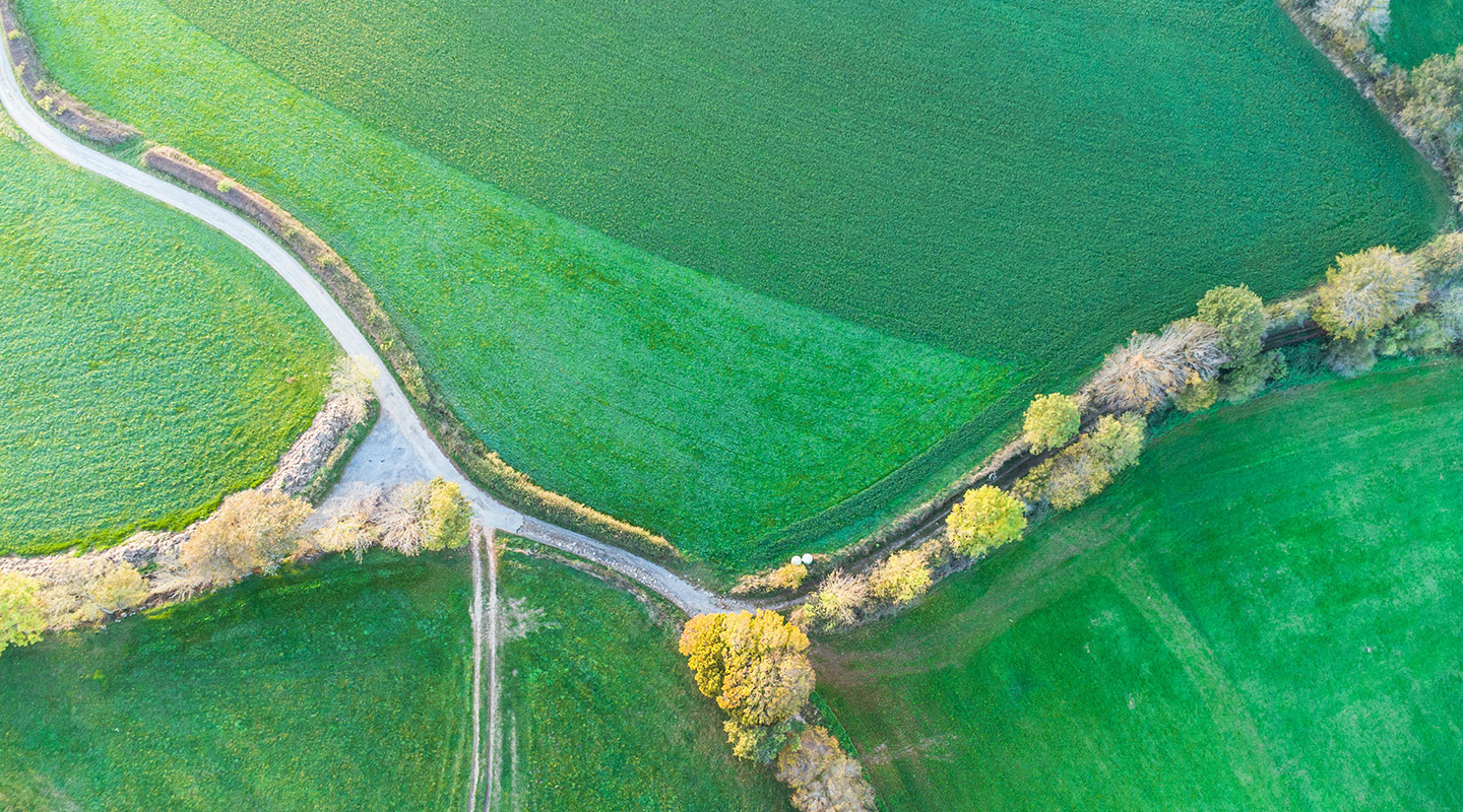 Digital trust in land promotion: why a modern website matters when winning over landowners