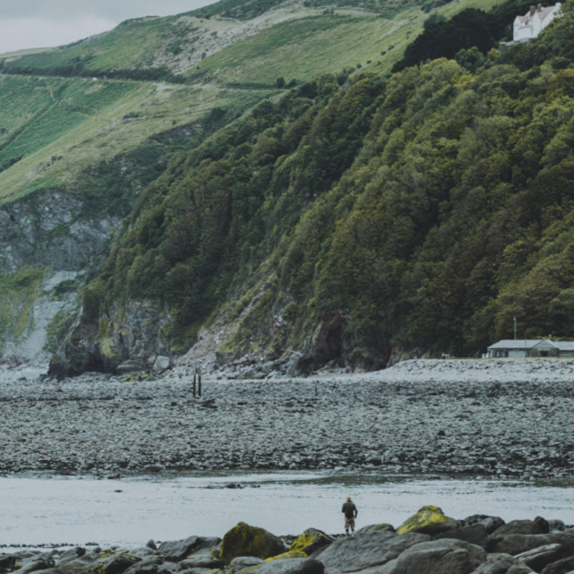 coast line scene